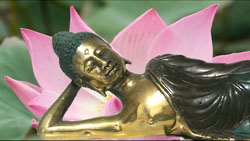 旅メーション　Animated Journey in Bali 2011+