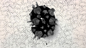 旅メーション No.9